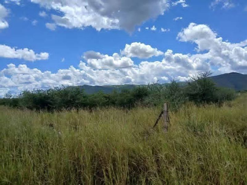 A scenic view of the agricultural land featuring natural vegetation, open fields, and distant mountain ranges under a clear blue sky.