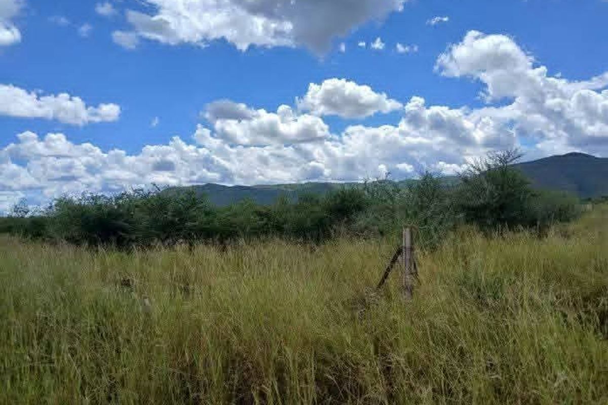 A scenic view of the agricultural land featuring natural vegetation, open fields, and distant mountain ranges under a clear blue sky.