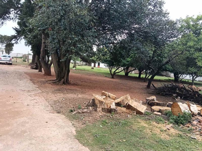 HUGE 7,498 ha PLOT FOR SALE IN LILYVALE, BENONI - WITH 2 HOUSES - Photo 9