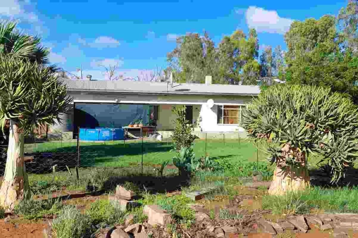 Rear view of the farmhouse featuring a spacious garden, established aloe trees, and a corrugated metal roof structure.