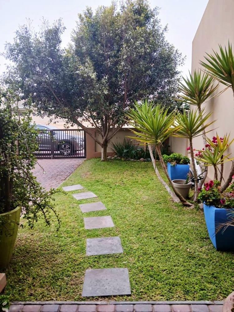 View of the yard