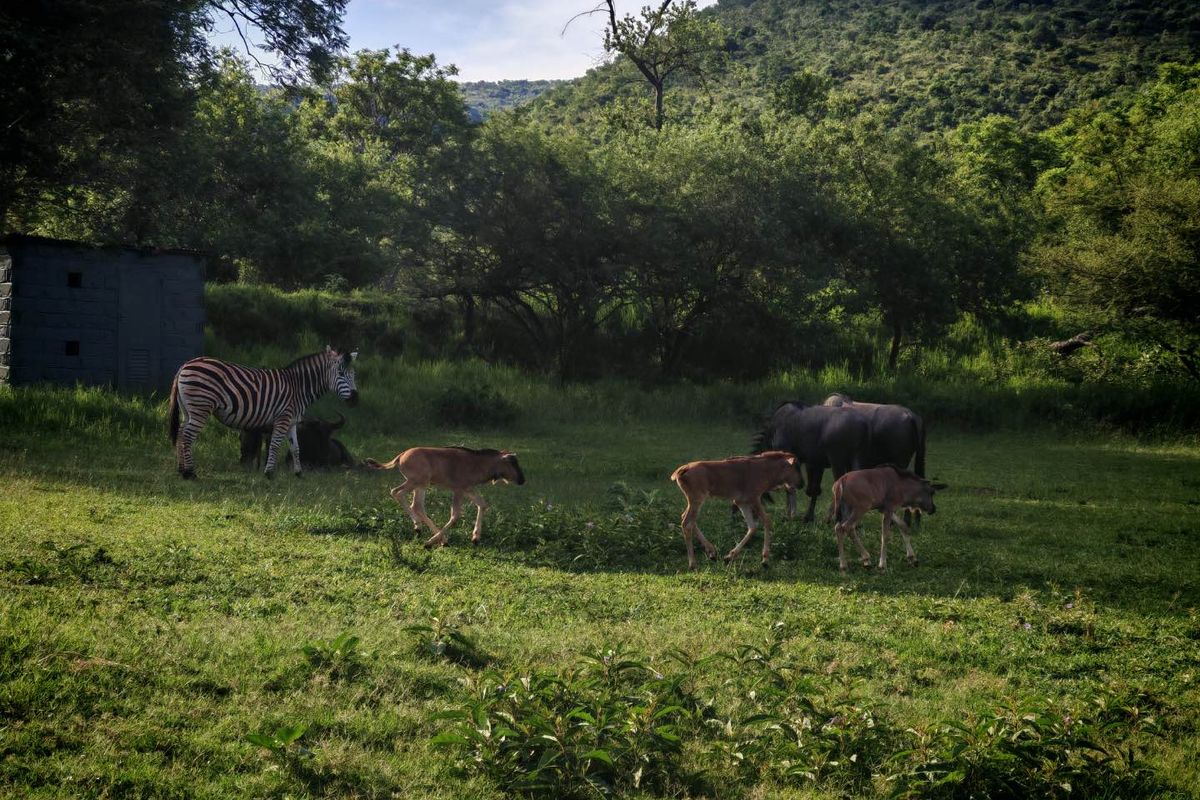 Vacant Stand For Sale - Photo 5