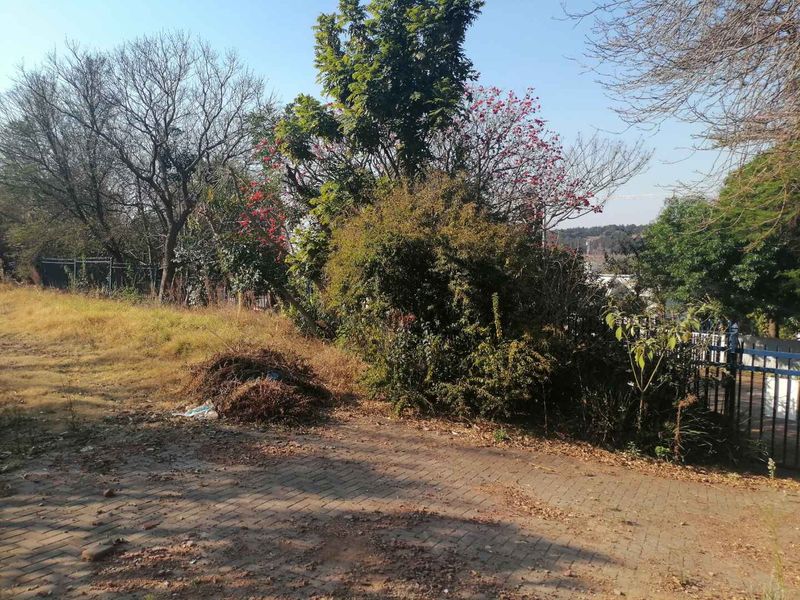 A view of a residential plot featuring a paved driveway area, mature trees, and perimeter fencing, currently requiring landscaping and site clearing.