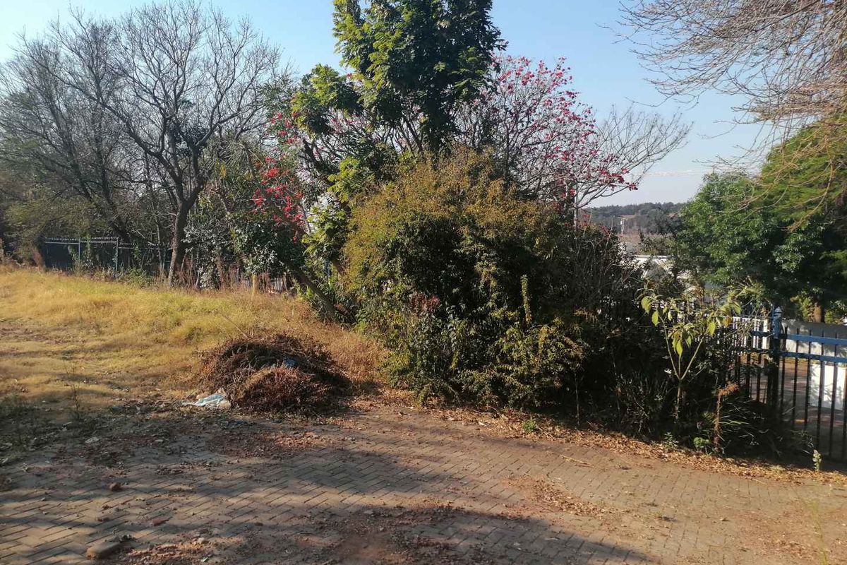 A view of a residential plot featuring a paved driveway area, mature trees, and perimeter fencing, currently requiring landscaping and site clearing.