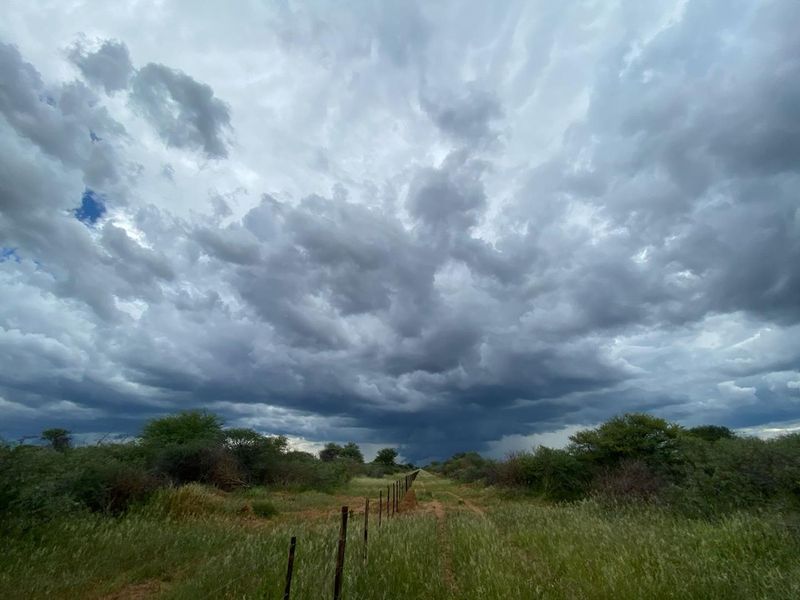 A wide-angle view of the open landscape on the small holding, featuring natural vegetation and a wire boundary fence under a cloudy sky.