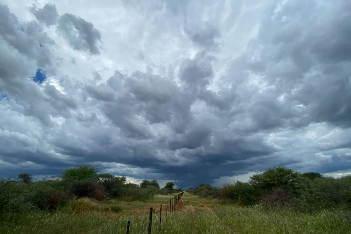 A wide-angle view of the open landscape on the small holding, featuring natural vegetation and a wire boundary fence under a cloudy sky.