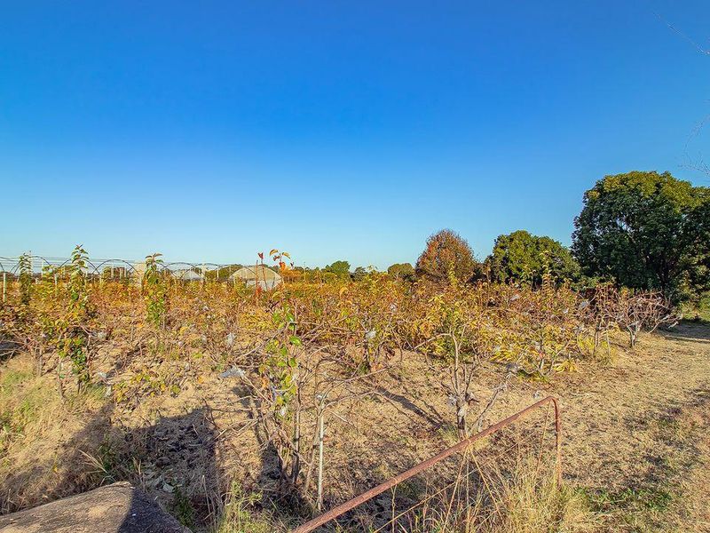 Charming Retired Farm in Doornpoort – A Unique Opportunity - Photo 8