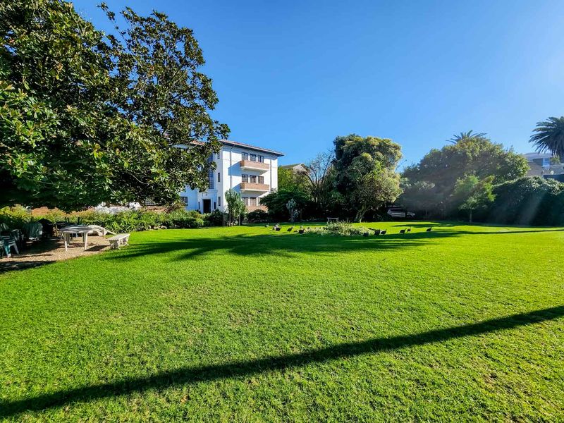 A rare find in Rondebosch - Photo 5