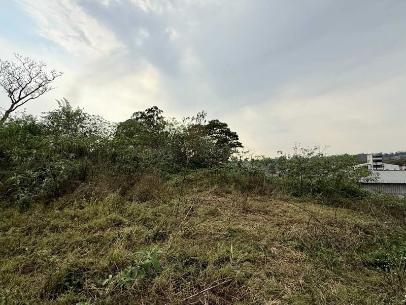 An undeveloped commercial land plot featuring natural vegetation and terrain, suitable for future development projects.