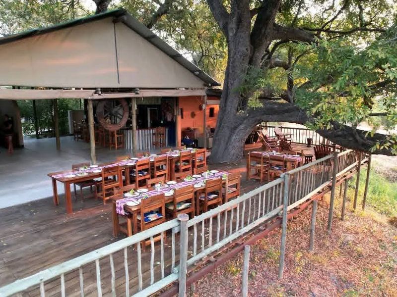 An expansive outdoor timber deck featuring a covered dining area, built-in bar, and rustic railing, set beneath a large mature tree.