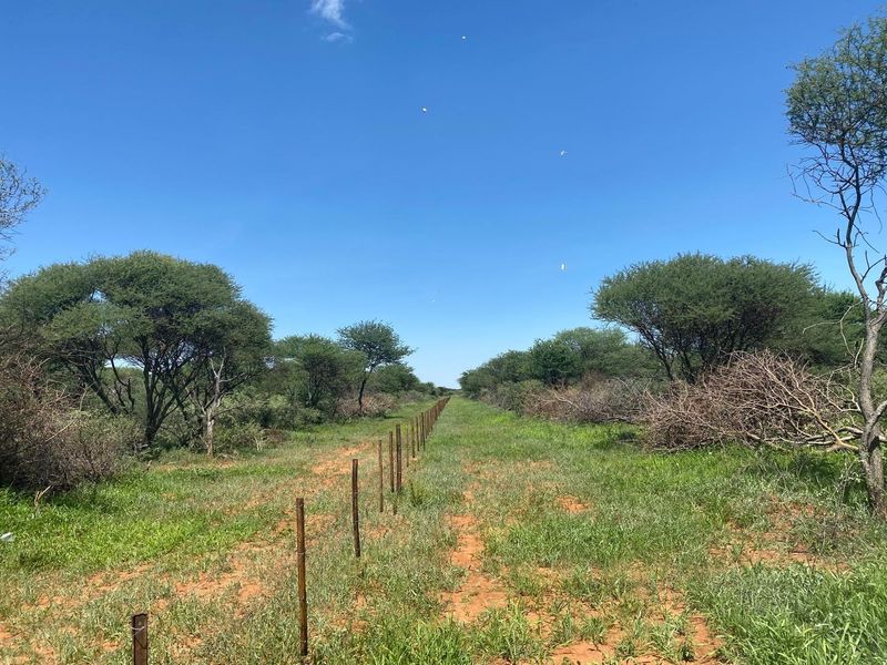 A Rare Opportunity to Own Your Dream Farmland! - Photo 7