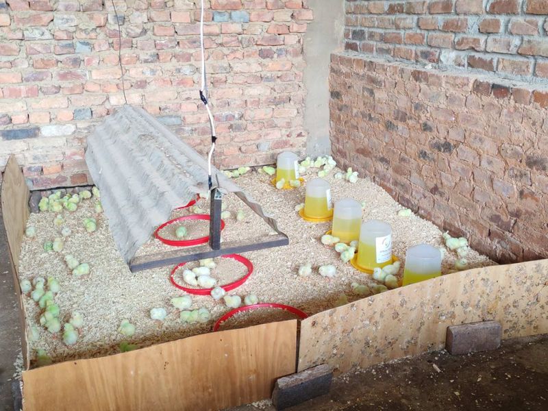 22ha Farm for Sale – Prime Small-Scale Farming Opportunity - Photo 10