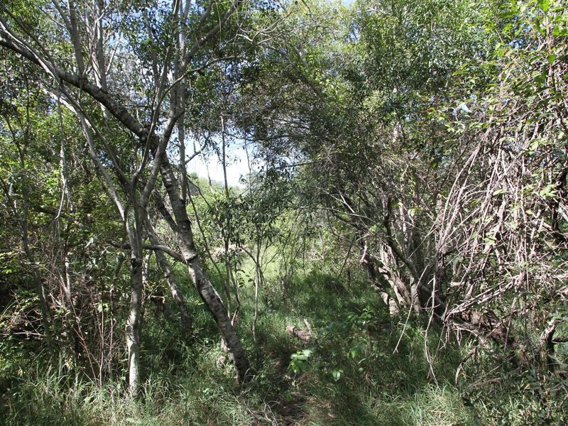 Vacant stand for Sale - Photo 6