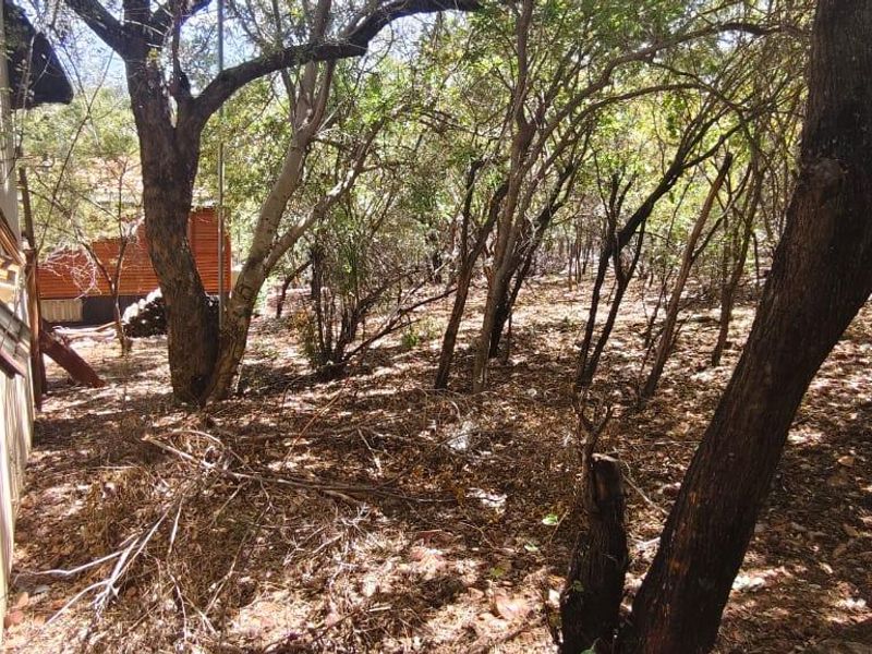 "DIY Enthusiasts: Rebuild in a Serene Greenbelt Setting!" - Photo 8