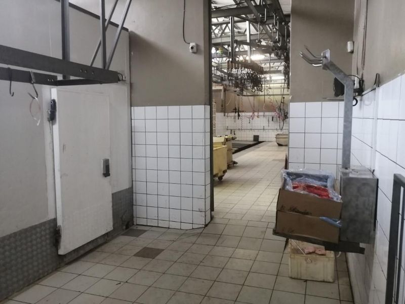 UNIQUE OPPORTUNITY - Photo 4