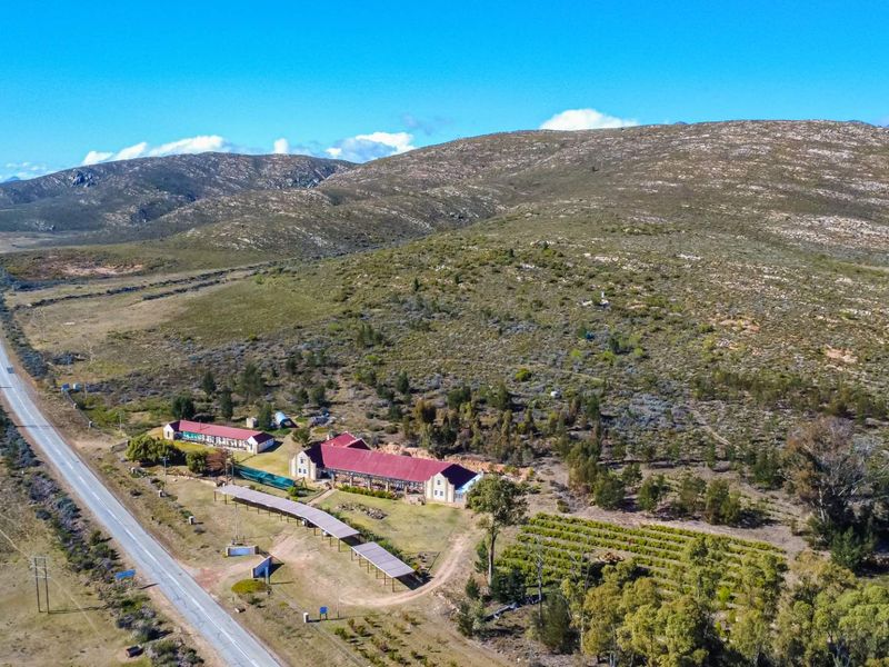 Own a Landmark Lifestyle Farm on Route 62 – Misgund, Langkloof (10.38 ha) - Photo 5