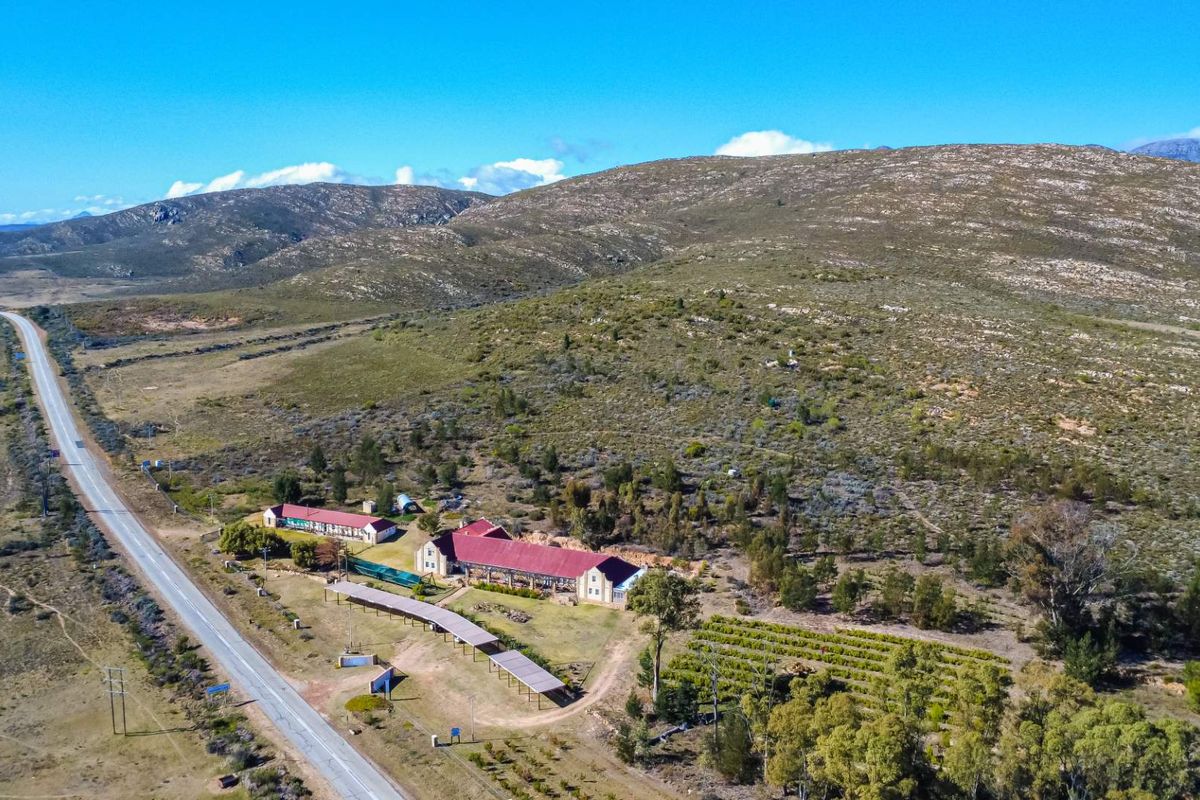 Own a Landmark Lifestyle Farm on Route 62 – Misgund, Langkloof (10.38 ha) - Photo 5
