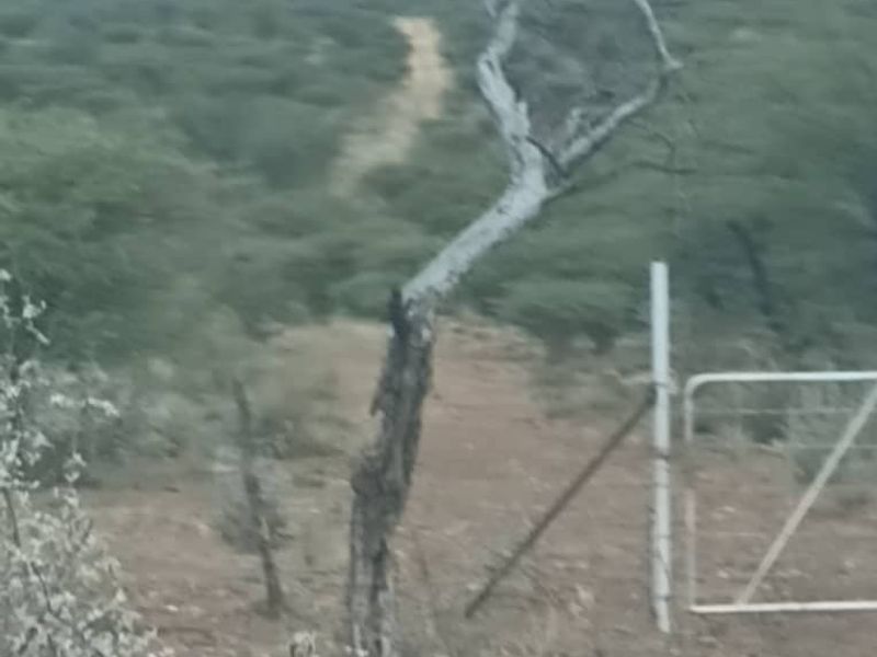 5 HECTARES FARM STYLE PLOT FOR SALE- FARM NARUXHAS - Photo 10