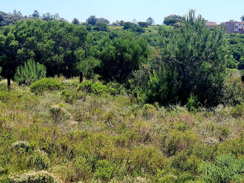 A view of the vacant residential land featuring natural vegetation and surrounding landscape.