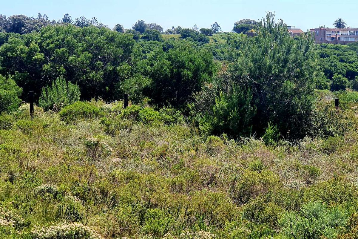 A view of the vacant residential land featuring natural vegetation and surrounding landscape.