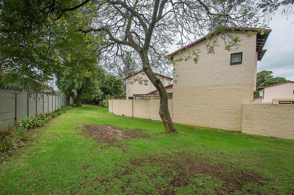 Communal garden area
