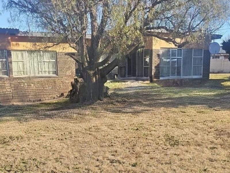 Front view of a single-story brick house featuring large windows and a spacious front yard with a mature tree.