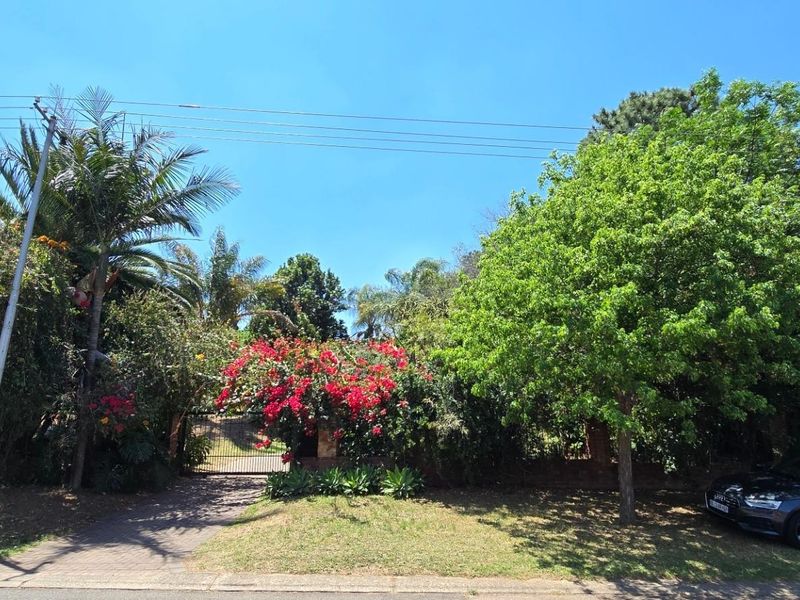 Orion's Belt - At Home Among the Stars - Photo 4