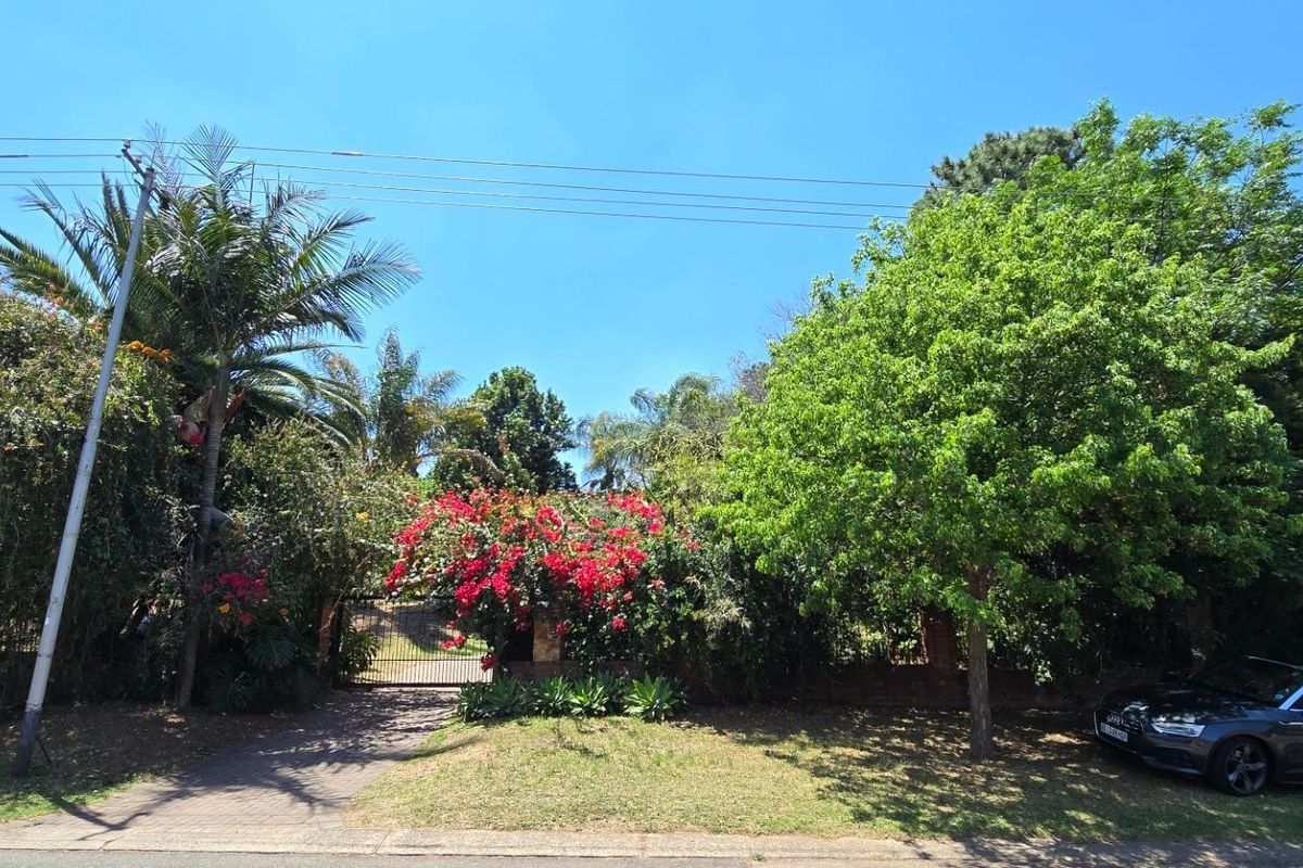 Orion's Belt - At Home Among the Stars - Photo 4