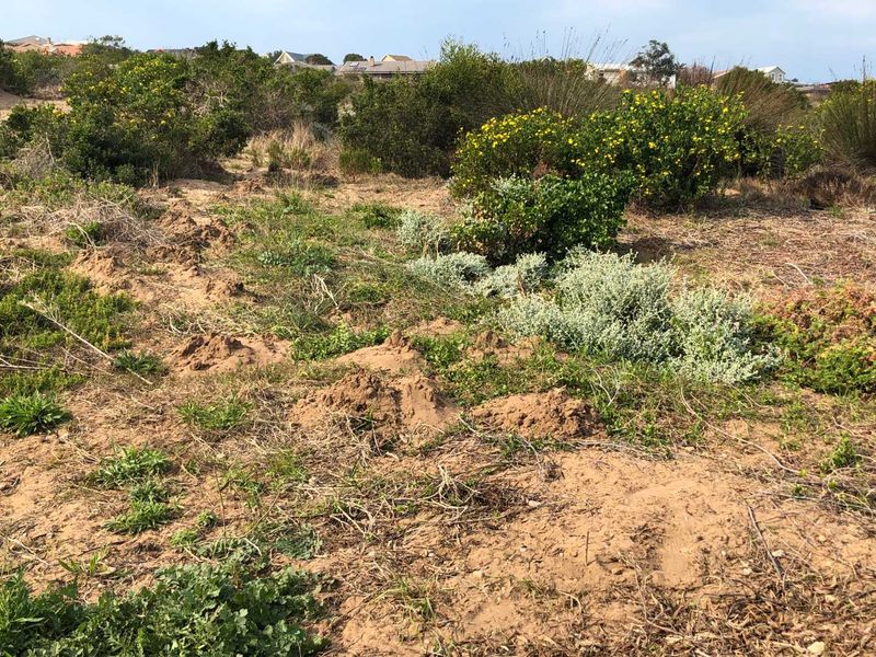 Nature Lover's Haven: Private Reserve & Wildlife at Your Doorstep - Photo 5