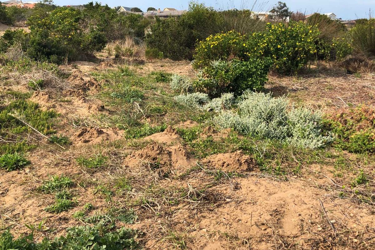 Nature Lover's Haven: Private Reserve & Wildlife at Your Doorstep - Photo 5