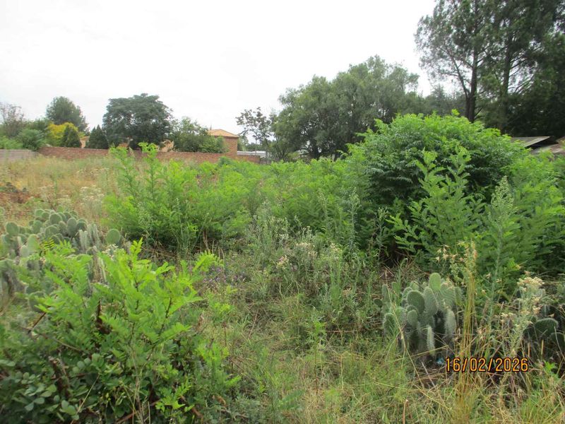 Enjoy the tranquility of Henley - Photo 4