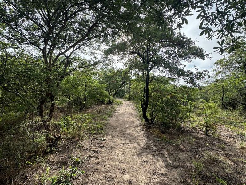 A natural dirt pathway winding through a wooded area on the farm property, surrounded by mature trees and native vegetation.