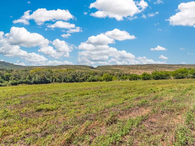 Hekpoort farm bliss: 4 homes, River frontage and Income potential - Photo 7