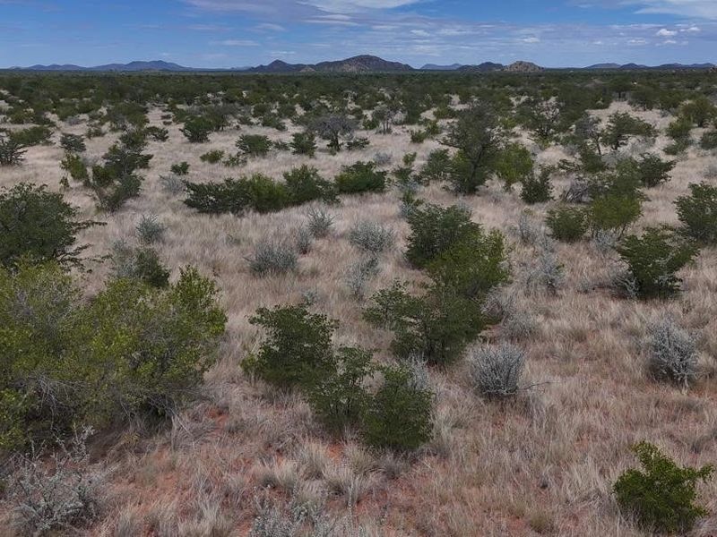 Expansive aerial view of the natural farm landscape featuring indigenous shrubs, dry grasses, and distant mountain ranges under a clear sky.
