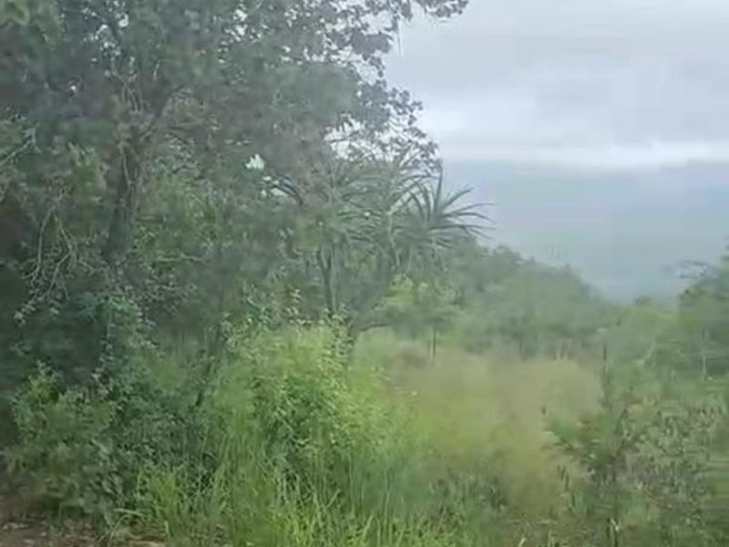 OFFERS WELCOME! Cattle Farm & Nature Retreat Rolled into One Rare Opportunity! - Photo 3