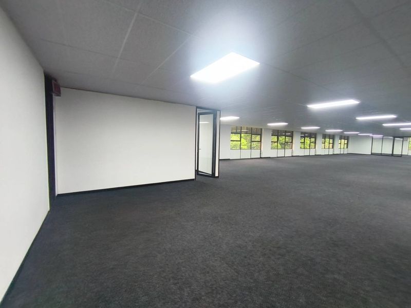 A spacious, open-plan office area featuring dark carpeting, a suspended ceiling with recessed lighting, and large windows providing ample natural light.