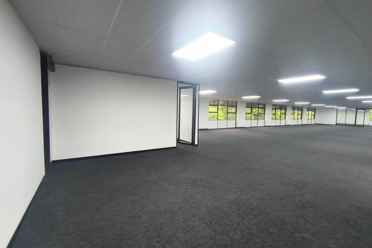 A spacious, open-plan office area featuring dark carpeting, a suspended ceiling with recessed lighting, and large windows providing ample natural light.