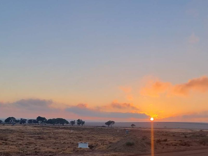 Vacant Stand for Sale – 18 Bird Walk, Darling Green 685m2 | Developing Estate Environment - Photo 9