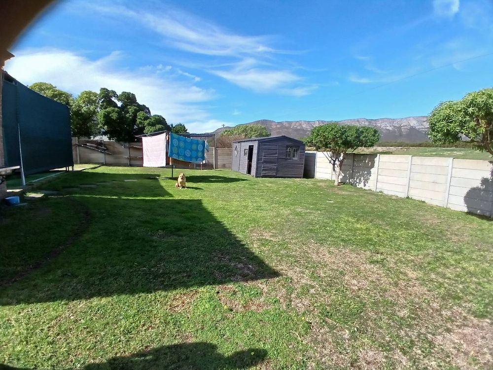 Same Backyard (with Wendy House); now in another direction.