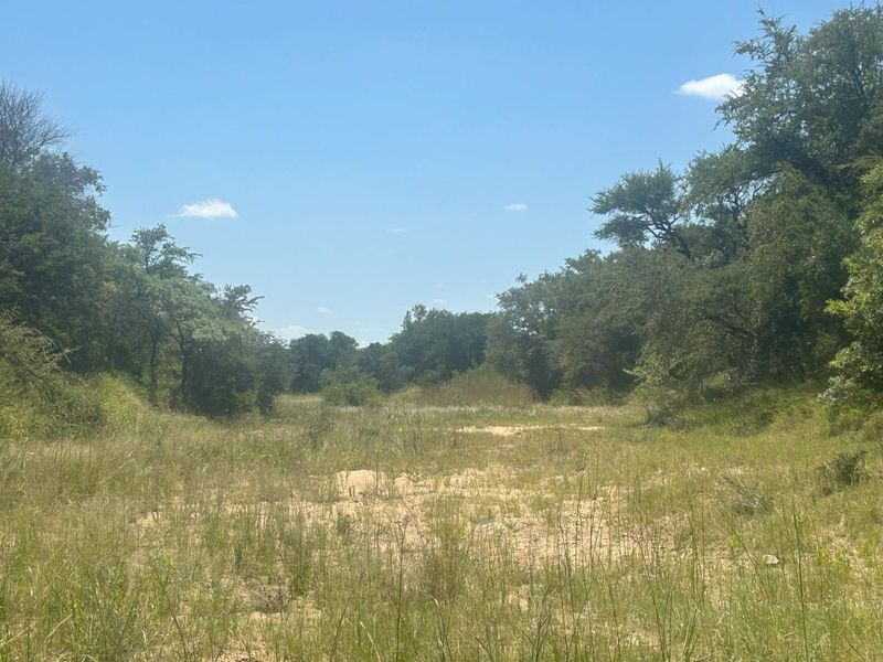 MODITLO NATURE RESERVE - Vacant land for sale! - Photo 2