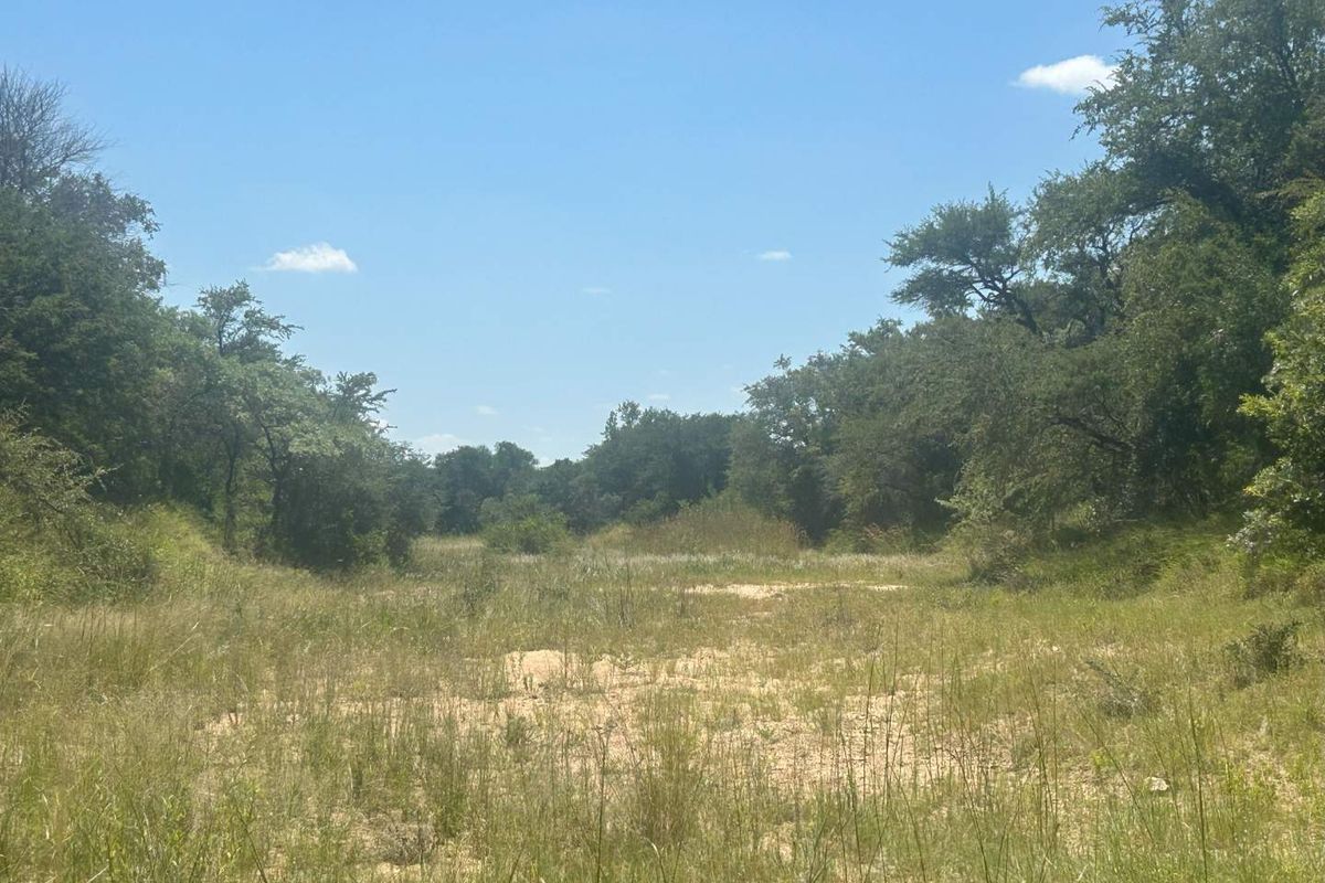MODITLO NATURE RESERVE - Vacant land for sale! - Photo 2