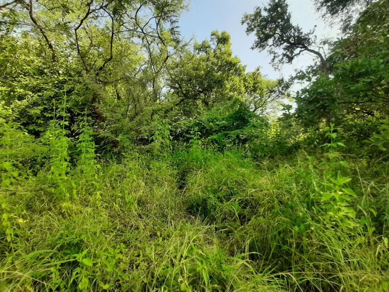 Stand for sale in Gravelotte - Photo 6