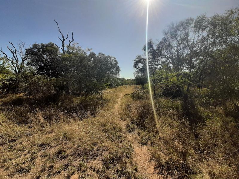 Choose your view! - Photo 5