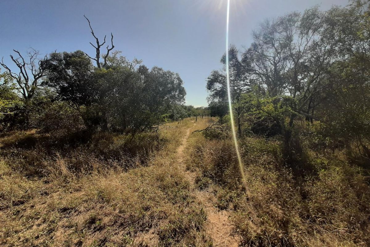 Choose your view! - Photo 5