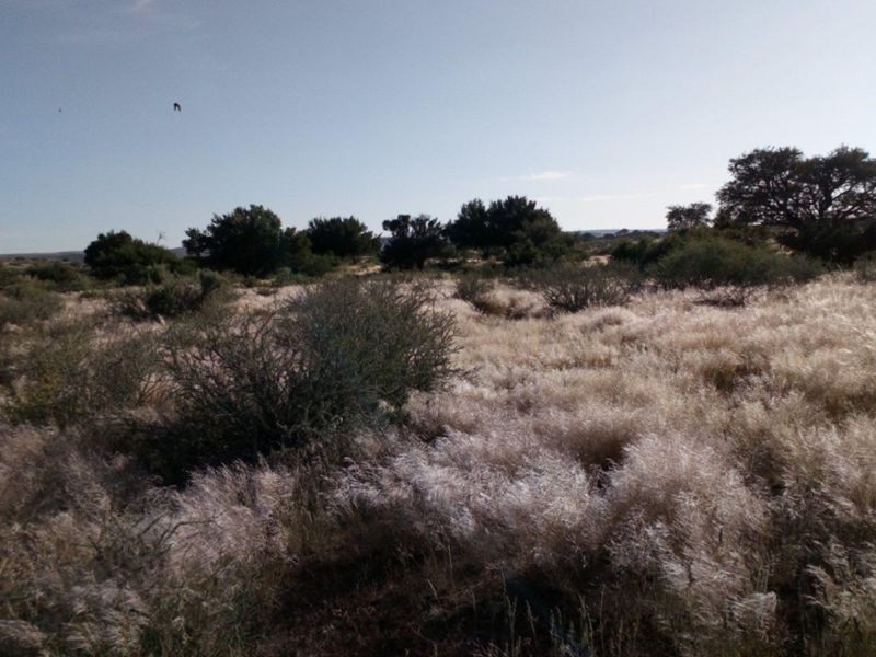 Own a Piece of Paradise: 7.8 Ha Plot Near Karasburg Awaits! - Photo 8