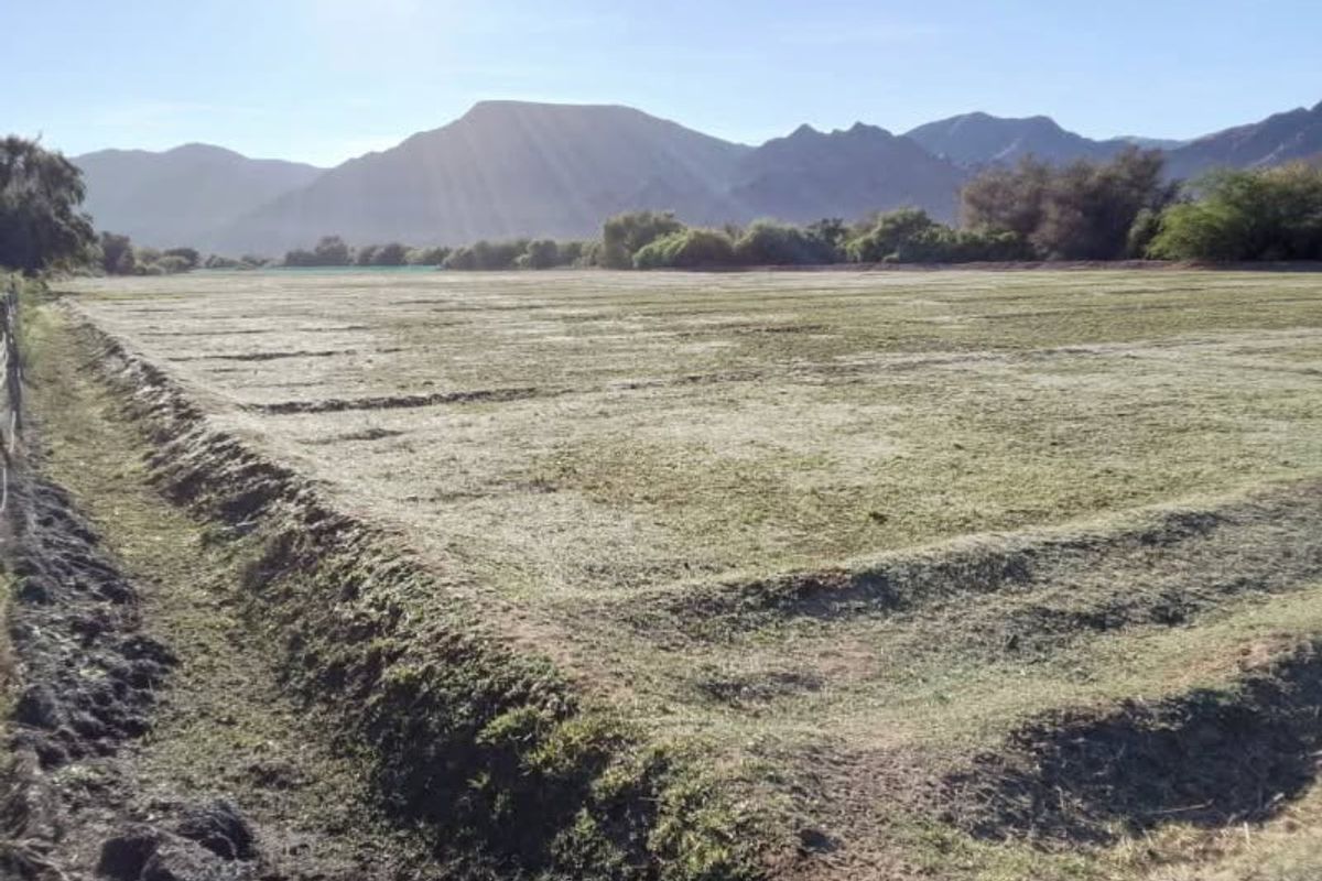 Expansive open agricultural land or pasture with mountain views, featuring established irrigation furrows and natural terrain.