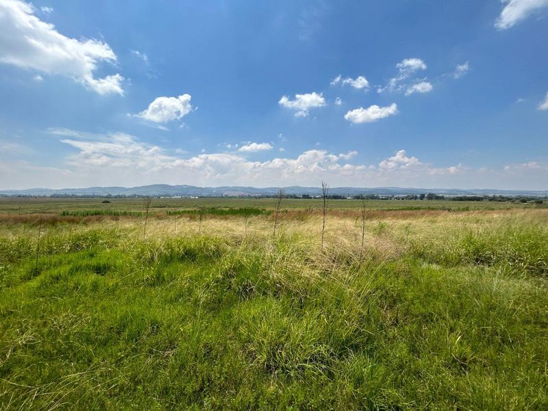 PRIME 8.9 HECTARE AGRICULTURAL LAND FOR SALE NEAR EYE OF AFRICA GOLF ESTATE - Photo 4