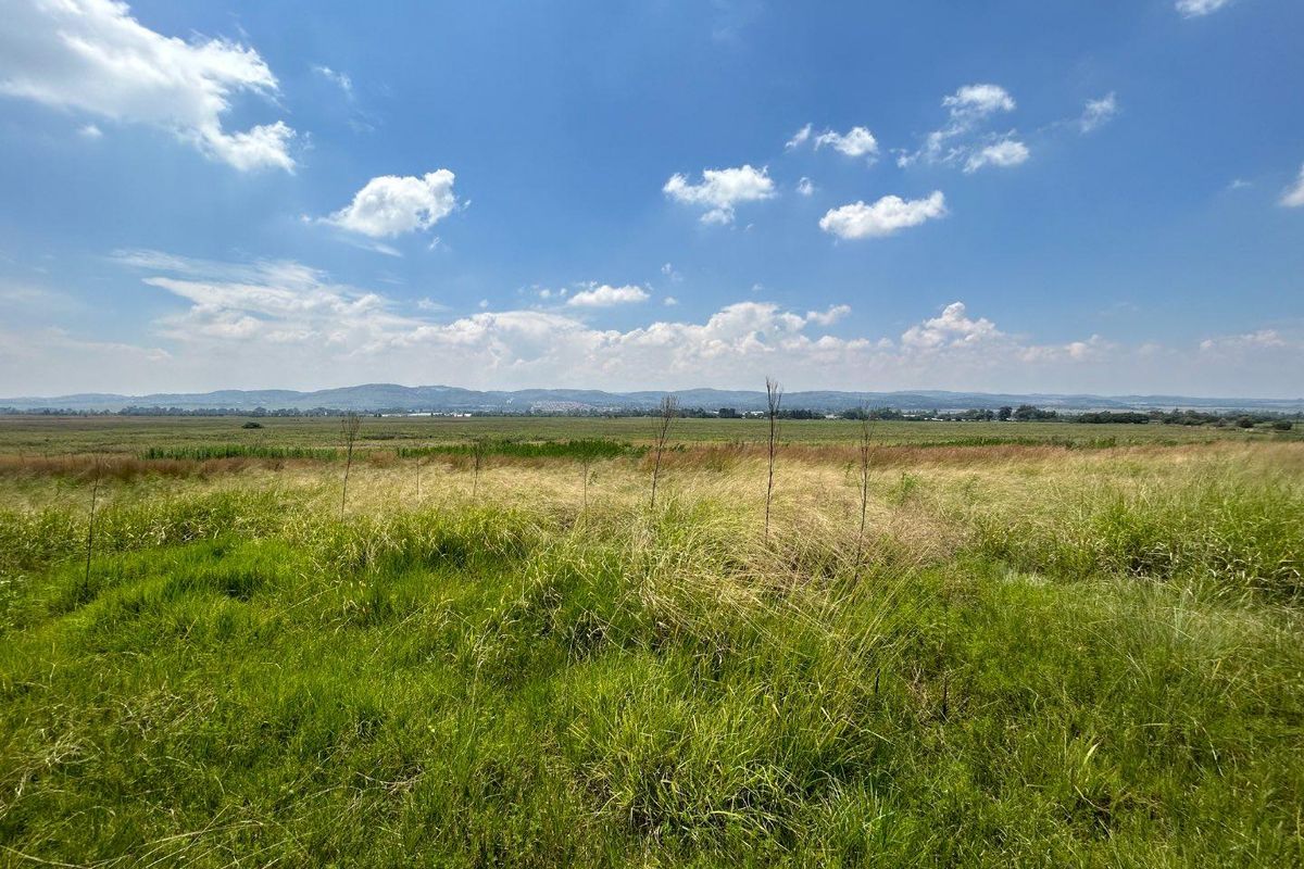 Expansive open farmland landscape featuring natural grasslands and distant mountain views under a clear blue sky.