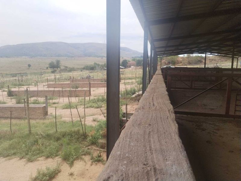 Secluded farm - Photo 7