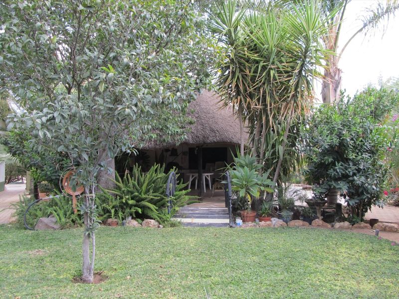 HOUSE WITH OUTBUILDINGS ON LARGE ERF - Photo 4